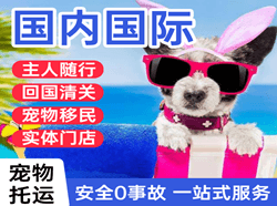 兰州空运代理国际宠物托运 【国